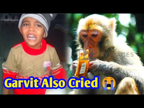 Garvit ki chocolate बंदर le gya 😭