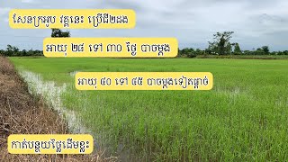 សែនក្រអូប វគ្គនេះ ដាក់ជី២ដង ដើម្បីបន្ថយថ្លៃដើម