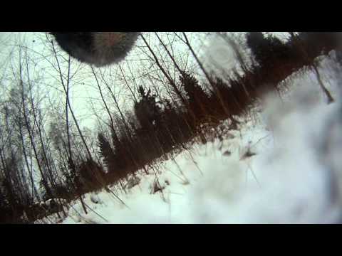 Krievu-Eiropas laika aļņu medības (Rauna)