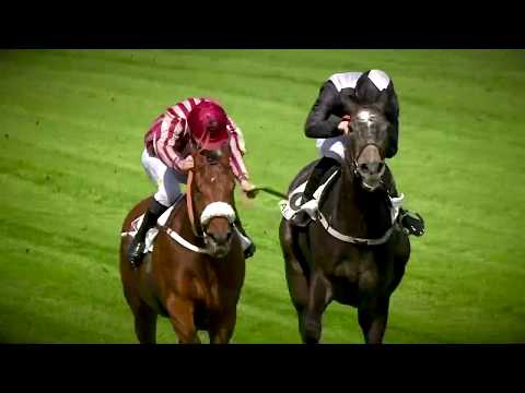 70e Gala des Courses - TURFCOM -  Cravache d'or obstacle Bertrand Lestrade