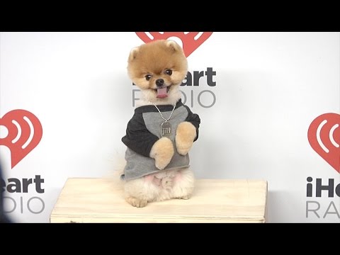 Jiff Pom // iHeartRadio Music Festival 2015 Red Carpet Arrivals