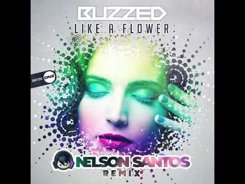 Buzzed - Like a flower (Nelson Santos Remix) Sample