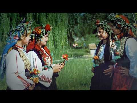 Fitnete Rexha - Shoqët tua moshatare