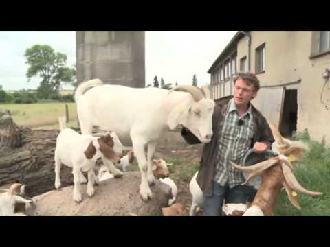 Gut Vorder Bollhagen - alles Bio oder was