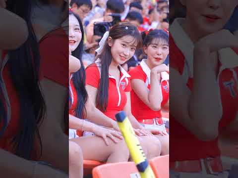 아이콘