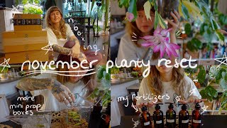 amazon unboxing, restocking supplies, organizing fertilizers, current fave plants, & more! 🌱