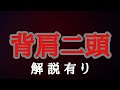 『月曜日』背中肩二頭筋