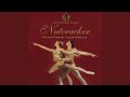 The Nutcracker Scene XII Divertissement Mother Gigogne The Clowns