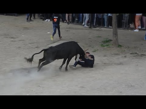 ALES BEST OF ENCIERROS 18-19-20-21/05/23