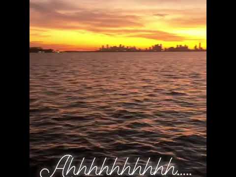 North Bay Road Miami Beach Sunset