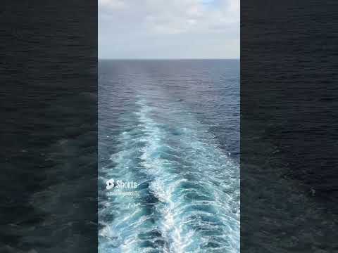 Thumbnail for Cruise Shorts - Cruise Ship Wake Behind the Carnival Sunshine Sailing to the Bahamas