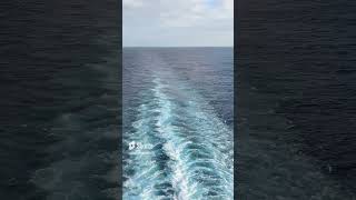 Cruise Shorts - Cruise Ship Wake Behind the Carnival Sunshine Sailing to the Bahamas