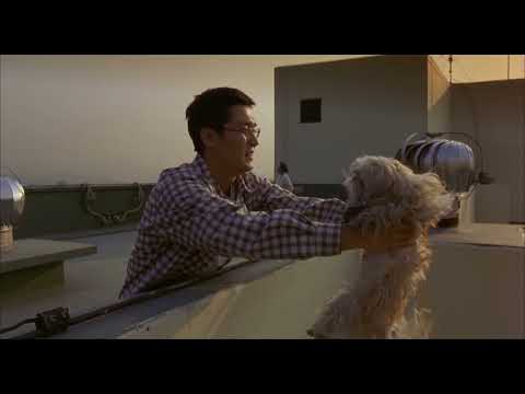 Barking Dogs Never Bite - Clip | Directed by Bong Joon-ho