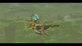 横回転ウインドボム？？【ゼルダの伝説 ブレスオブザワイルド】