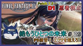 【FF14】絶もうひとつの未来！ ＃２９　P5練習！【忍者視点】