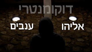 דקותיים - אליהו ענבים