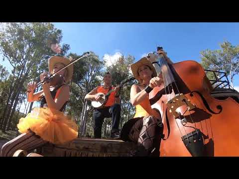 download lagu mp3 mp4 Hillbilly Goats, download lagu Hillbilly Goats gratis, unduh video klip Hillbilly Goats