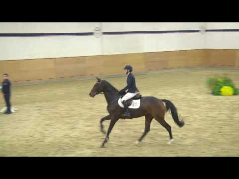 124 Consuela v. Connor - Contender