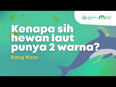 Kenapa Sih Hewan Laut Punya 2 Warna?