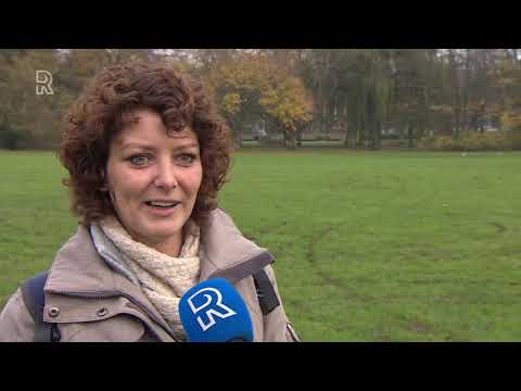 Rijnmond Nieuws - 21 november 2019