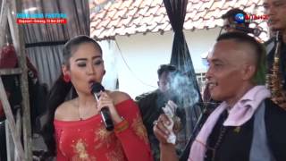 Download lagu Manuk Dara Sepasang - Anik Arnika Jaya mp3