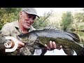 Searching For The Legendary Murray Cod In The Australian Outback Jeremy Wade S Dark Waters
