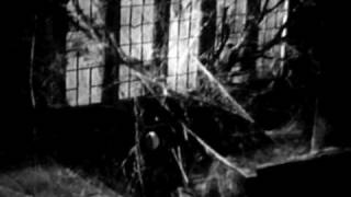 Weimar Gesang - Annual Ring