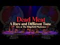Dead Meat Live At The Ridgefield Playhouse June 12 2024