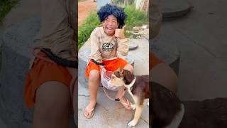 Cuide dos cachorros ❤️ #funny #shorts