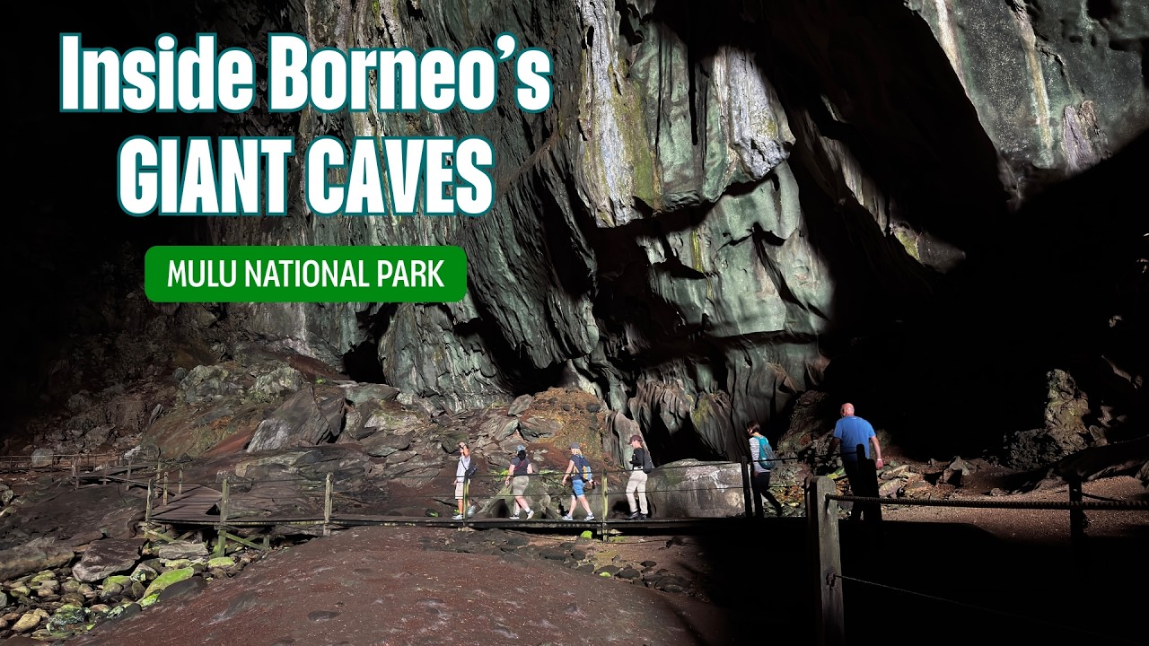 4 Days in Mulu National Park | Bat Exodus, Canopy Skywalk & Rainforest Cave Adventure in Sarawak
