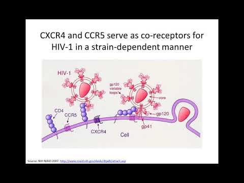 High-throughput CRISPR-Cas9 Genome Engineering in Primary T Cells