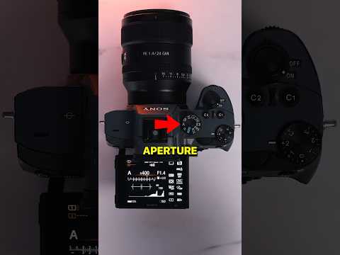 Why YOU need TO USE ‘Aperture Priority’ 🎯 #photographytips #beginnerphotographer #newphotographer