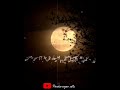 Naan Paadum Mounaraagam Whatsapp Status Ilaiyaraaja Whatsapp Satuts Idhaya Kovil SPB HITS