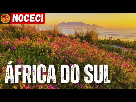 5 Destinos Incríveis para Conhecer na África do Sul
