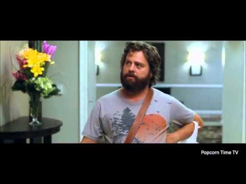 The Hangover "Dogs out"