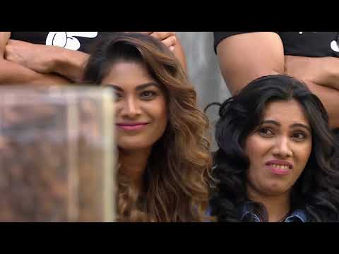 Khatron Ke Khiladi S08   Season 08   Episode 19