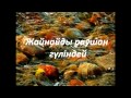 Нұрсың сен(Лучшие песни на казахском) 