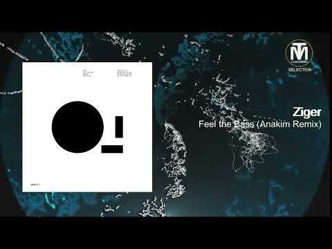 Ziger - Feel the Bass (Anakim Remix) [ICONYC]