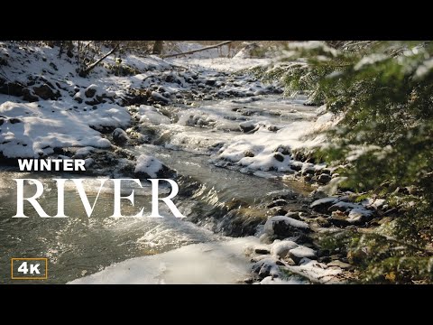 4K HDR Forest River flowing in Winter Morning - White Noise for Sleep, ASMR and Relaxation