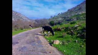 على ثرى اردننا الخصيب