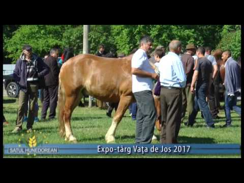 satul hunedorean 28 mai 2017