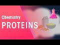 Proteins Organic Chemistry Chemistry FuseSchool
