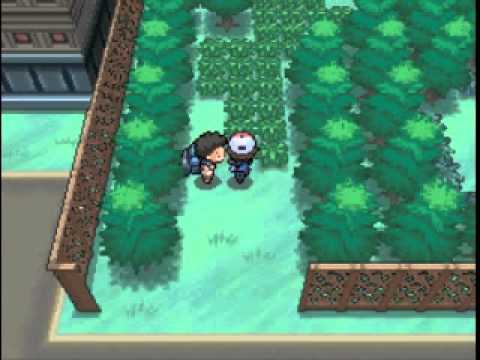 Pokemon Blaze Black Walkthrough 31 - Route 16