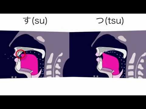 Exercise video: Tsu vs Su
