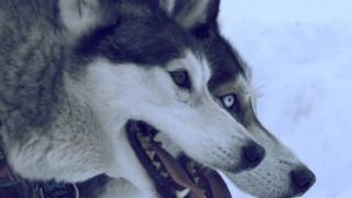 Casper - Auf und davon (Offical Video)