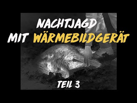 Nachtschicht: Jagd mit der Wärmebildkamera #3