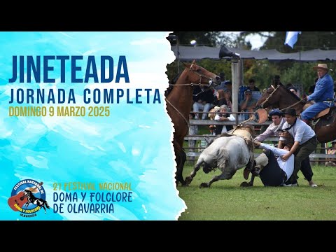 Jineteada en el Festival Nacional de Doma y Folclore de Olavarría 2025