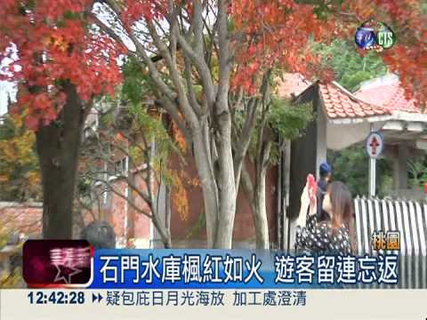 賞楓嚐活魚! 石門觀光好吃又好玩