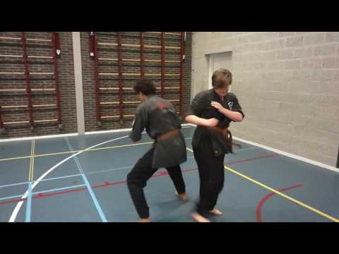 Kenpo compilation