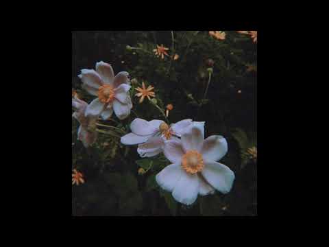 Emmanuel Ele - FLOWERS II